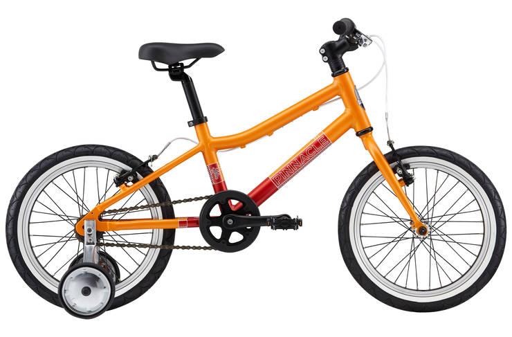 Pinnacle kids store bike